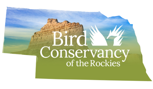 Event Promo Photo For Winter Nature Music Bingo